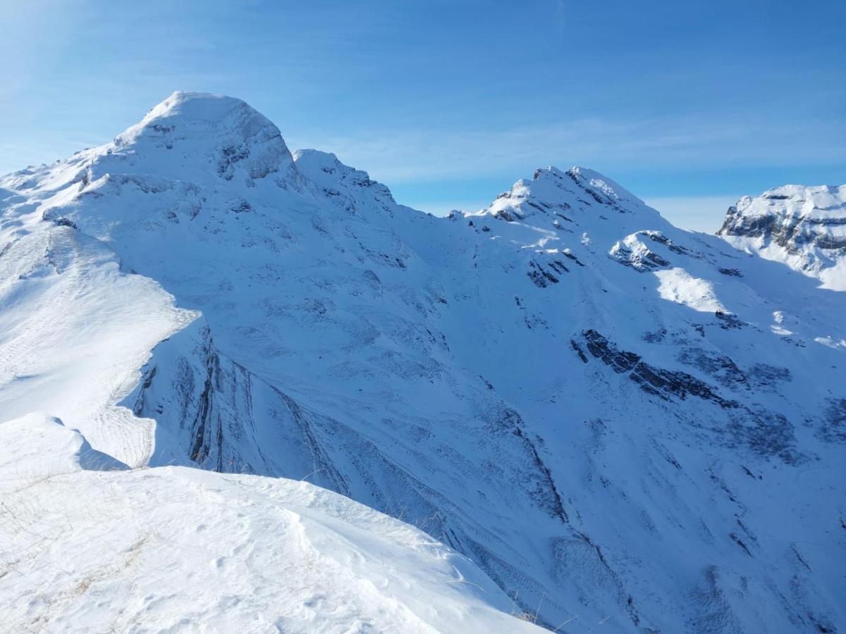 Aparthotel-almgasthaus Gemsli - A Bisal Oesterreich Ueberm Schweizer Rheintal